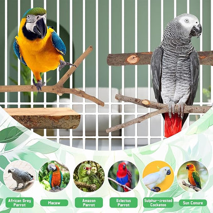 4-Pack Natural Wood Bird Perch Stand with Spacious Platform, Thick & Long Branches, Large Parrot Cage Accessories for African Grey, Macaws, Conures, Eclectus (Medium & Large Birds)