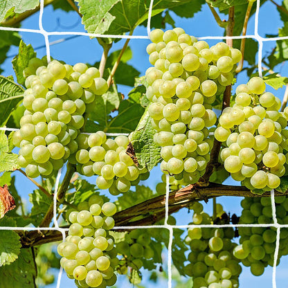 Trellis Netting, 2 Pack 5x30 Ft Garden Trellis Netting, Heavy Duty Square Mesh Outdoor Grow Vining Net for Climbing Plants, Tomatoes Peas Cucumber and Flower Plant with 50pcs Garden Ties