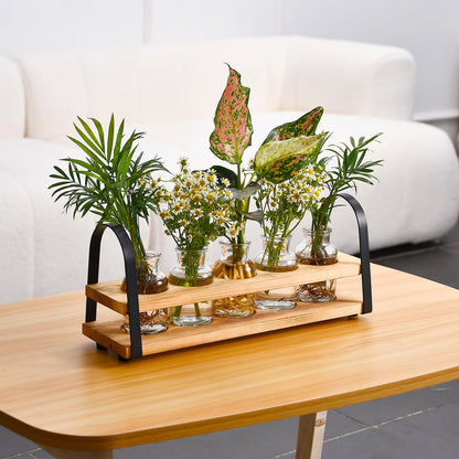 VIKEYHOME Plant Propagation Station with Wood Stand, Desktop Terrarium for Hydroponic, Flower Vase for Home, Kitchen, Office Decor, Plants Lover Gifts