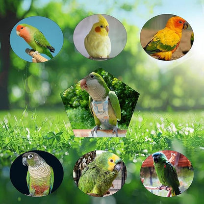 Snap-Closure Parrot Diapers with Adjustable Leash - Washable Bird Flight Suits for Cockatiels, Sun Conures & Quaker Parrots Secure & Chew-Resistant (L – Rainbow Honey Sucker/Golden Sun + 1m Rope)