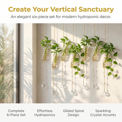 H&D HYALINE & DORA 6 Pcs Hanging Propagation Station with Crystal Ball Prisms Suncatcher and Cleaning Brush, Glass Wall Vases Crystals Prism Hanging Decor for Windows Home Wedding Decoration(Golden)