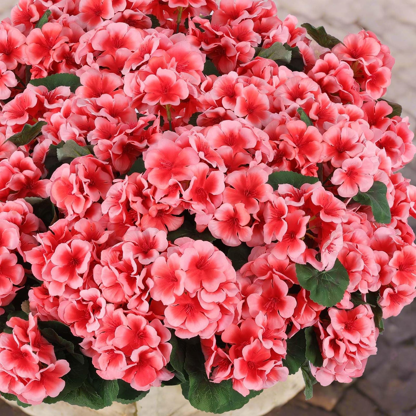 Hananona 6 Pcs Artificial Geranium Flowers for Outdoors Geraniums Silk Flowers Outdoor UV Resistant Garden Plants Faux Flowers for Home Kitchen Table Centerpieces Decor (6, Peach)