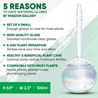 Mission Gallery Clear Plant Watering Globes Set of 6 - Small Self Watering Globes for Indoor & Outdoor Plants - Automatic, Glass Watering Bulbs for Daily Use, Plant Watering Devices