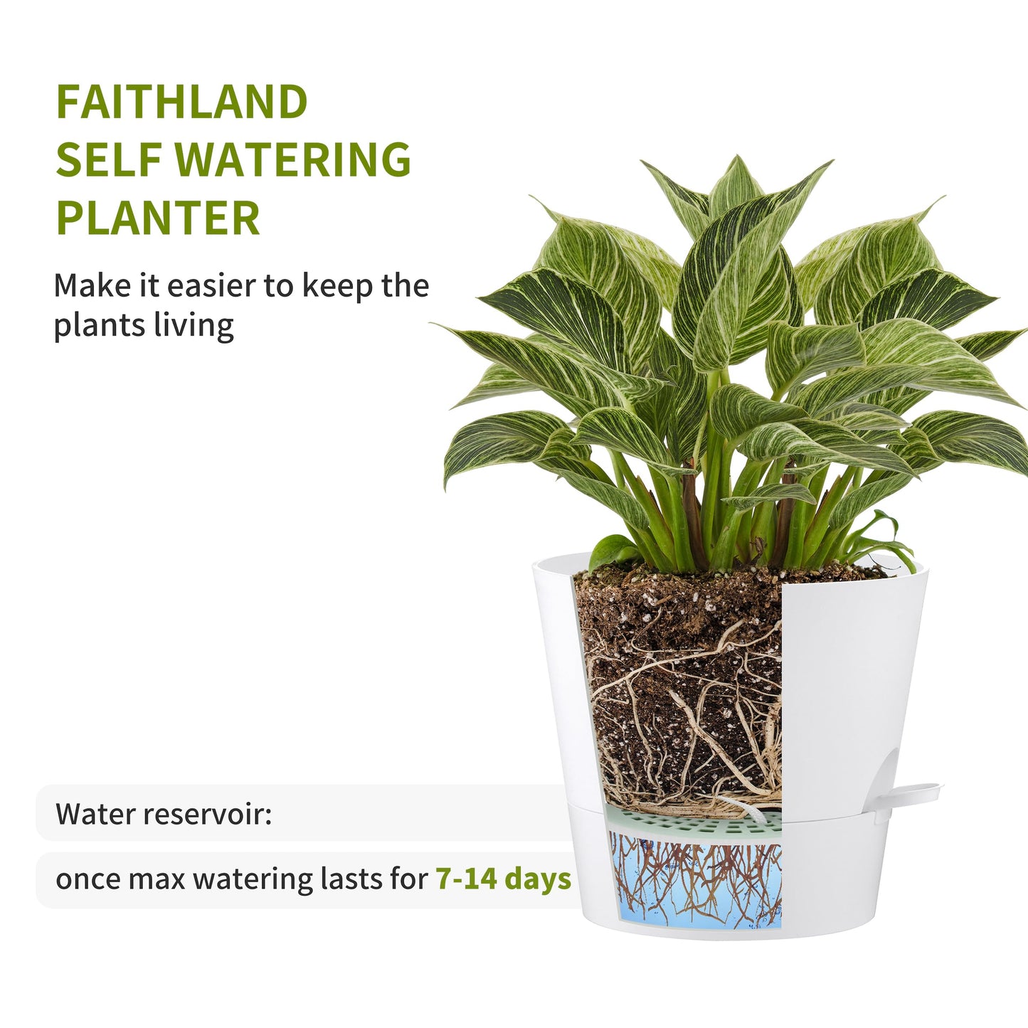 FaithLand 2 Tier Plant Stand and 2-Pack 9 Inch Self Watering Pots Bundle