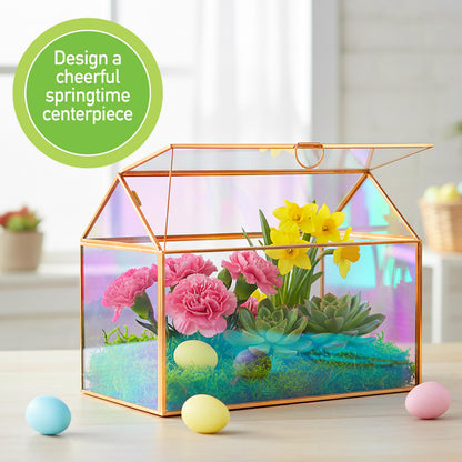 D'Eco Iridescent Glass House Centerpiece (10x6x8)- Planter Terrarium- Spring Home Decor & Wedding Letterbox - Fill with Succulents, Cacti, Air Plants, Moss, Flowers for Plant Lovers