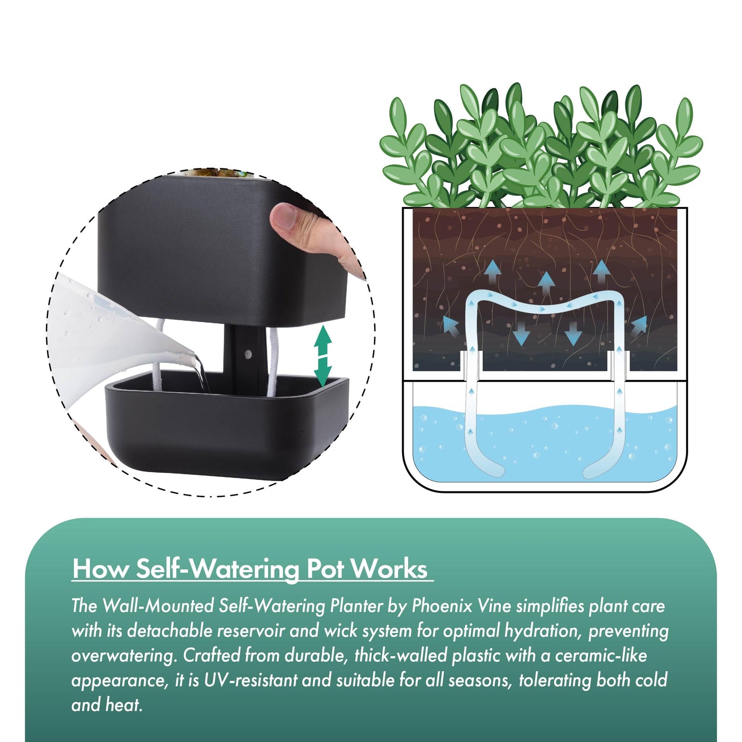 Phoenix Vine 6.5 Inch Wall Mounted Self-Watering Planter Pot for Indoor Houseplants and Herbs | Hanging Planter for Window Sills, Bathroom Walls, Home & Office Décor, Black, Set of 2, 01-C-E-2