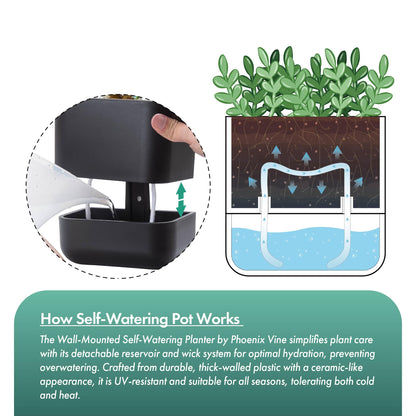 Phoenix Vine 6.5 Inch Wall Mounted Self-Watering Planter Pot for Indoor Houseplants and Herbs | Hanging Planter for Window Sills, Bathroom Walls, Home & Office Décor, Black, Set of 2, 01-C-E-2