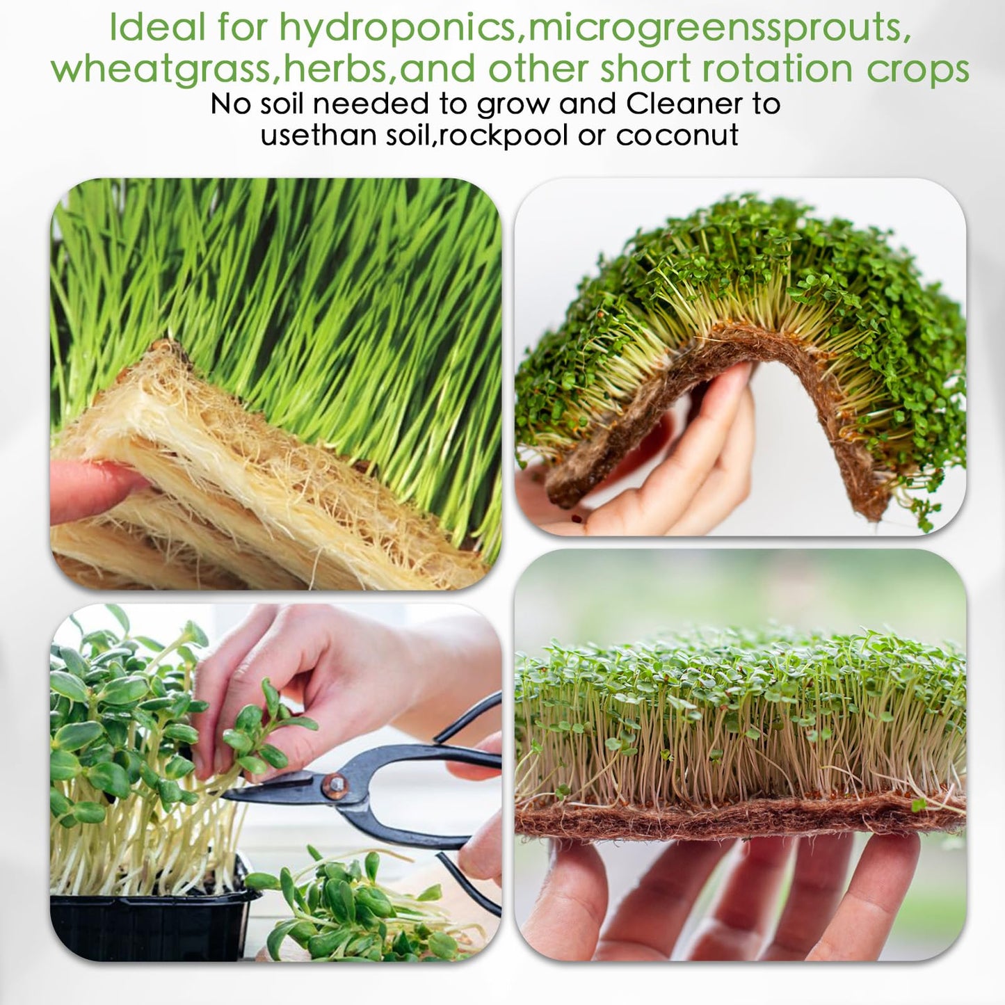10 Pack 1020 Seed Starting Trays with 12 Hemp Grow Mats - Extra Thick Microgreens Growing Kit, 21 x 11 x 2.5 Inch Plant Trays with Hydroponic Grow Pads for Wheatgrass, Sprouts, Organic Gardening