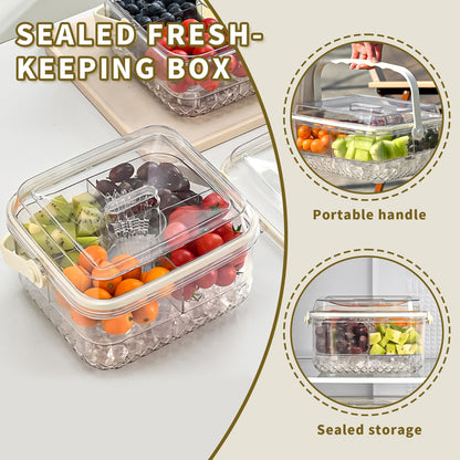 Small Premium Chilled Serving Tray with Lid for Parties,Cold Dish Perfect for Fruits,Veggies,Shrimp Cocktail - Keeps Food Cool,Ice Chilled Party Platter for Vegetables,Snacks,Candy and Appetizers