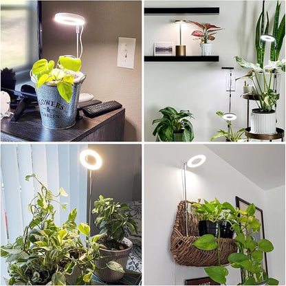 Aokrean Grow Light, Full Spectrum Plant Lights for Indoor Growing with with 3/9/12H Timer, 3 Color Modes, 10 Brightness, 6.5"-26" Height Adjustable Halo Grow Light with Base, 3 Pack(3.4in)