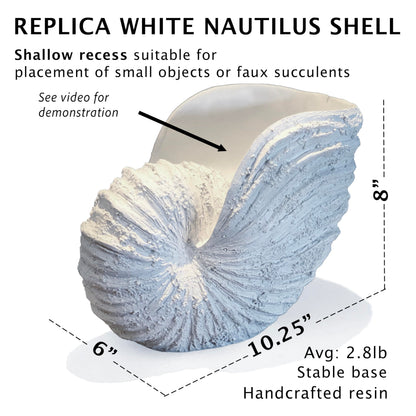 Huey House Large Nautilus Shell Sculpture, White Seashell Beach Decor