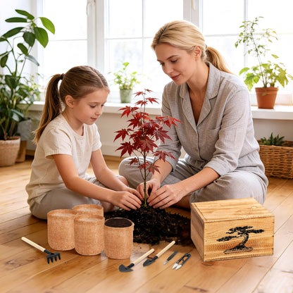 4 Pack Bonsai Tree Kit - 4 Seeds Growing Plant Bonsai Tree Live Kit for Beginners, Easy to Grow Complete Indoor Garden Starter Kits with Wooden Box & Tools, Christmas Gifts for Men Women Plant Lover