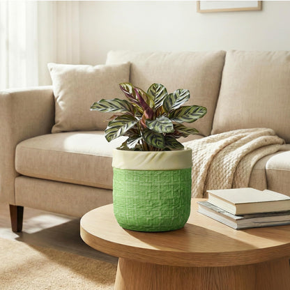 Teagas Ceramic Plant Pots - 6 Inch Plant Pot with Drainage Hole, Boho Planters for Indoor Succulent Plants, Decorative Round Unique Flower Pots, Garden Home Office Decor, Housewarming Gifts, Green