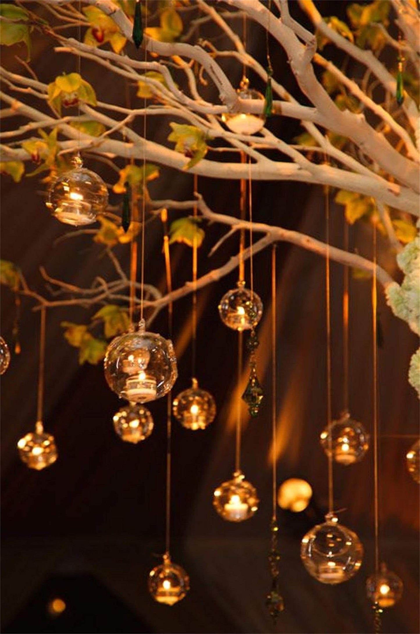 Ecosides Pack of 12 Hanging Glass Orbs Hanging Glass Globe Terrariums with 2 Side Hole for Candle Holder, TeaLight Holder Candlestick for Wedding Decor