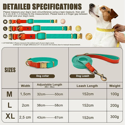 Dog Collar and Leash Set with Metal Quick Release Buckle, Adjustable, Breathable Nylon, Durable, Soft and Comfortable, No Pull for Walking and Training, Cyan, M (12.5"-19.6")