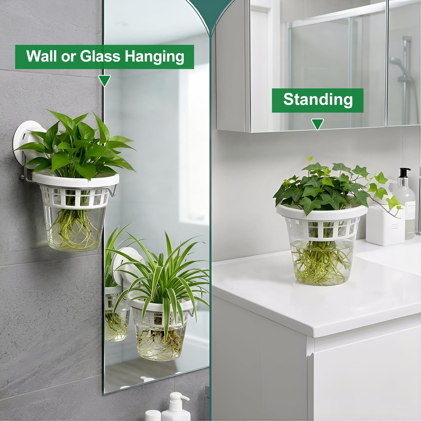 6 Pcs Window Propagation Stations Plastic Wall Hanging Planter with Suction Cup Holder Window Mounted Plant for Hydroponics Plants, Home, Office, Bathroom, Living Room Decor and Any Smooth Surface
