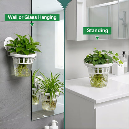 6 Pcs Window Propagation Stations Plastic Wall Hanging Planter with Suction Cup Holder Window Mounted Plant for Hydroponics Plants, Home, Office, Bathroom, Living Room Decor and Any Smooth Surface