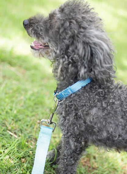 Country Brook Petz - Everyday Nylon Dog Collar and Leash - 10+ Cool Colors (1 Inch, Large, Ice Blue)