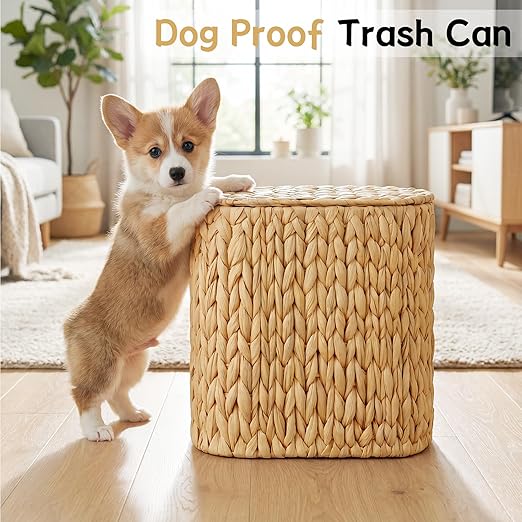 iEGrow 3 Gallon Wicker Trash Can, Bathroom Trash Can with Lid, Narrow Natural Water Hyacinth Waste Basket with Removable Liner, Boho Garbage Can for Bedroom, Office, Small Spaces Living Room, Toilet