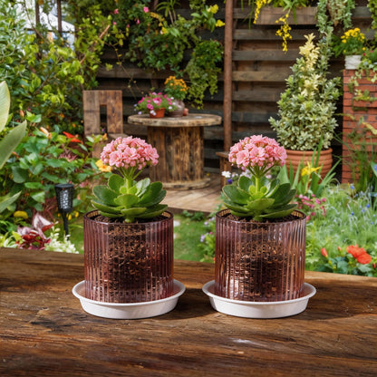 Hestremo Pink Glass Plant Pots Indoor, 5 inch Clear Orchid Pots with Drainage Holes & Trays, Small Glass Planter for Indoor Plants, Herbs, Succulent Flower Planter with Ribbed Texture, Set of 2