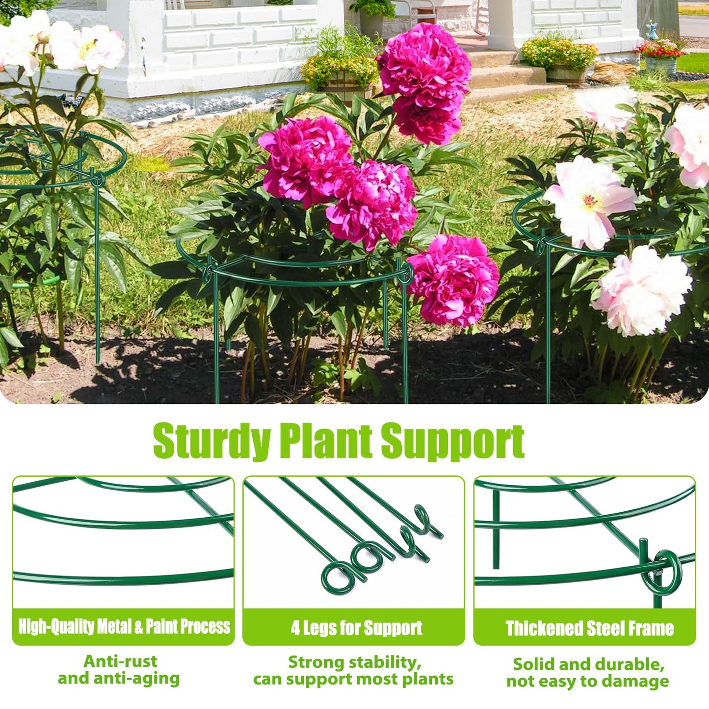 4 Pack Peony Cages and Supports, 11.5" Dx16 H Plant Supports for Outdoor Plants, Heavy Duty Metal Peony Support Cage Flower Support Rings, Plant Support Ring for Rose Tomato Hydrangea Strawberry