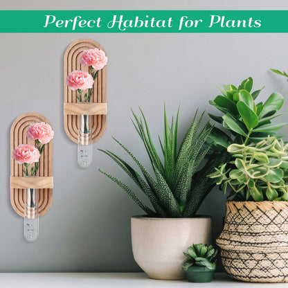 Beeveer 4 Sets Hanging Plant Propagation Stations Walnut Wood Wall Mounted Test Tube Vase Rustic Decorative Glass Planter Holder Gift for Women Plant Lover Hydroponic Flowers Home and Office Decor