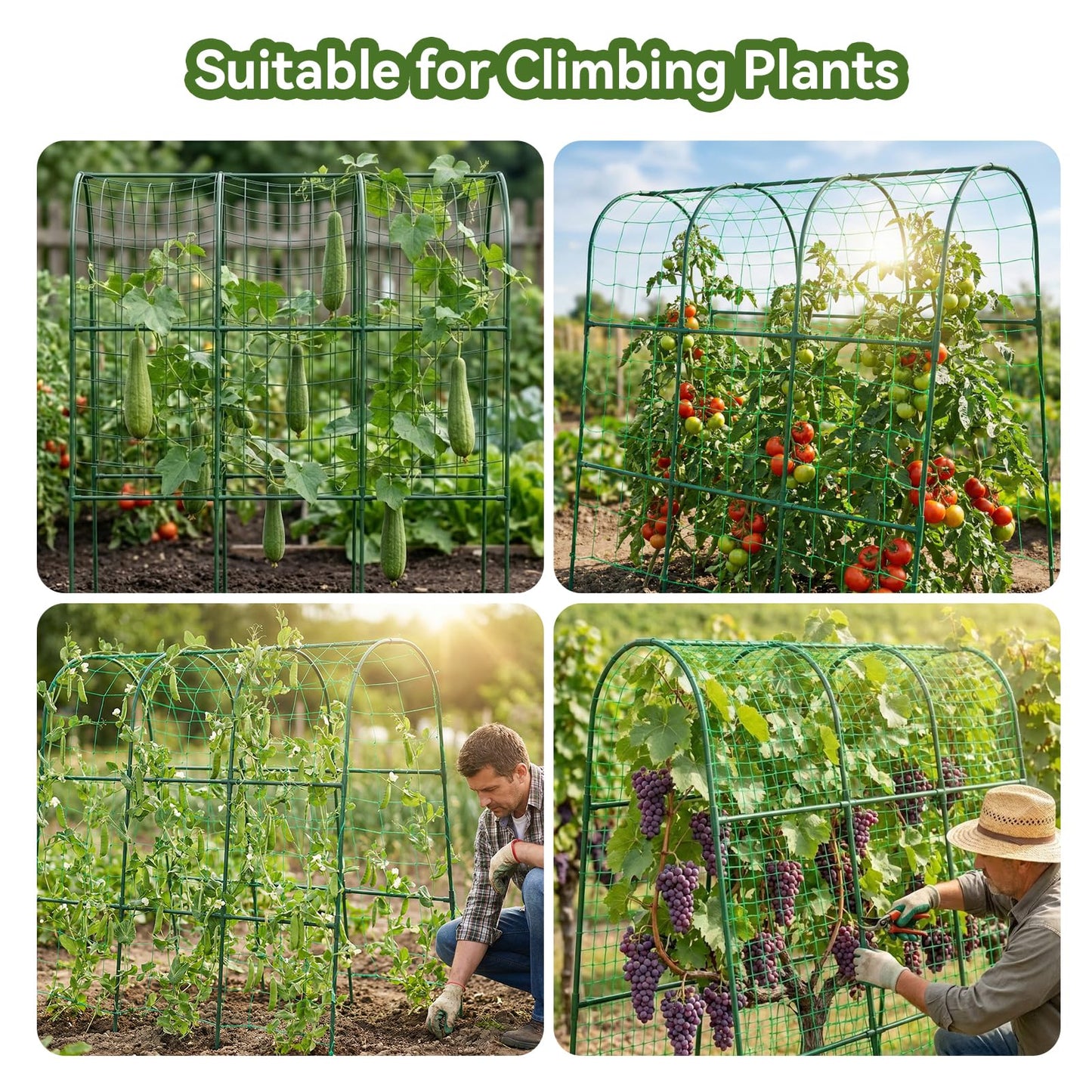 TOCCYARD Cucumber Trellis for Raised Bed, U-Shape Garden Trellis for Climbing Plants Outdoor, Metal Arch Trellis for Vegetables, Plant Support for Tomato, Pea, Zucchini, Squash