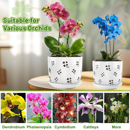 REMIAWY Orchid Pot, 6 Inch and 5 Inch Large Ceramic Orchid Planter with Drainage Holes and Saucer, Decorative Flower Pots for Indoor Outdoor Plant Repotting, Succulent, Good Air Circulation, 2 Packs