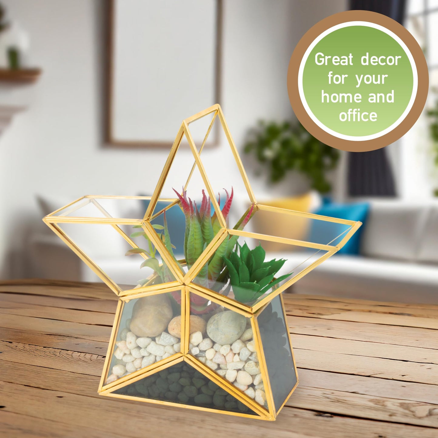 Gold Star Glass Centerpiece Display (3x8x8) - Tabletop Planter Terrarium - Spring Home & Wedding Decor - Fill with Succulents, Cacti, Air Plants, Moss, Flowers for Plant Lovers