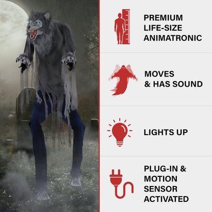 Haunted Hill Farm 7-Ft. Tall Motion-Activated Towering Werewolf by SVI, Premium Halloween Animatronic, Plug-in (HHTWRWOLF-1FLSA)