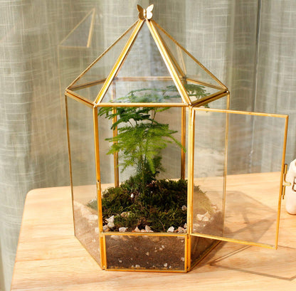 ELEGANTLIFE Glass Geometric Plant Terrarium,Succulent & Air Planter for Home Garden Office Decoration,No Plants(Gold Hexagonal)