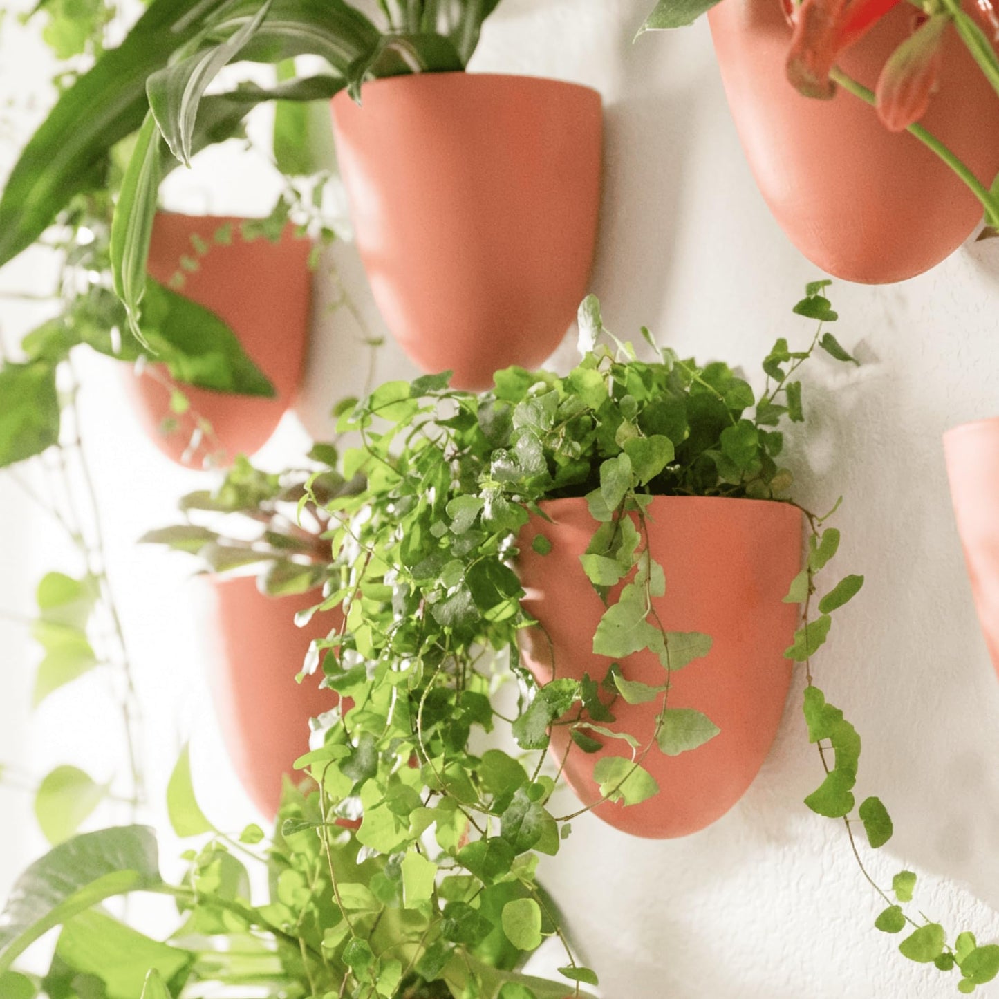 Make Good PlantPod Luxe - Self-Watering Wall Planters (Set of 6, Terracotta) - Easy to Water and Install - Lightweight - Design Your Own Vertical Garden - Wall Planters for Indoor Plants