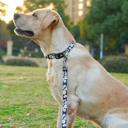 Dog Collar and Leash Set, Cute Daisy Pattern, Polyester Material, 5ft Leash, for Small Dogs.(Small,Black Daisy)