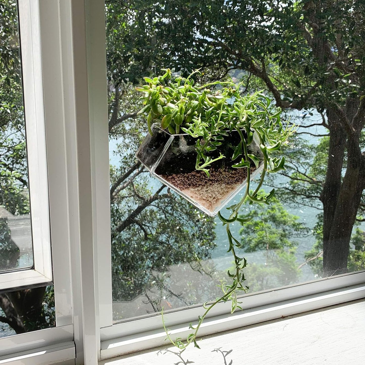 wdcfxy Transparent Acrylic Diamond Shape Suction Cup Window Planter, Ideal for Succulents, Cactus, Boxes or Indoor Herbs Pots, Home Decor Plant Holder or Kitchen