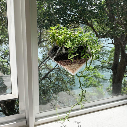 wdcfxy Transparent Acrylic Diamond Shape Suction Cup Window Planter, Ideal for Succulents, Cactus, Boxes or Indoor Herbs Pots, Home Decor Plant Holder or Kitchen