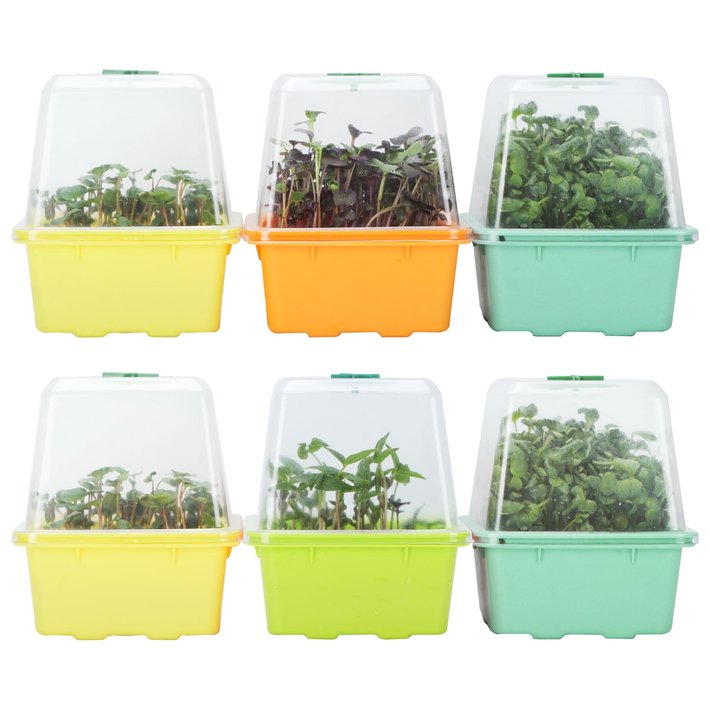 Microgreen Growing Trays, 5" x 5" Sprouting Tray with Humidity Dome, 1.2 mm Small Mesh Holes, BPA Free, Sprouter Kit for Growing Mirco Seeds, Like Broccoli, Alfalfa, Radish, Clover - 6 Pack | Colorful
