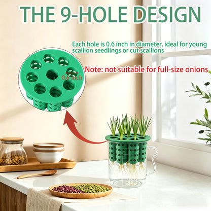 Nalanzhou 2Sets Green Onion Planter Scallion Grower Seed Sprouting Kit, 2 Green Onion Regrower Container and 2 Plastic Cups with Handle for Windowsill Garden Indoor Hydroponics Propagation Enthusiasts
