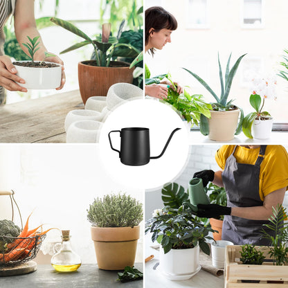 Plant Watering Can, 12 oz / 350 ml Stainless Steel Plant Watering Pot Small Watering Can with Long Spout for Indoor House Plants Flower Bonsai Outdoor Garden