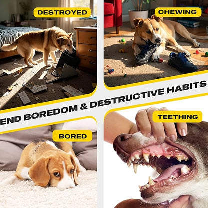 Fida Heavy Duty Dog Rope Toys for Aggressive Chewers 4pcs Pack – Natural Cotton Dog Chew Toys for Large Dogs, Tug-of-War & Fetch Rope Ball/Ring/Knot/Twist to Keep Them Busy