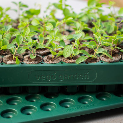 Vego garden Seedling Suite Products 10" x 20" 76 Cells Stackable Seed Starter Germination Tray with 3-in-1 Plant & Pop Board and 10" x 20" Bottom Watering Tray