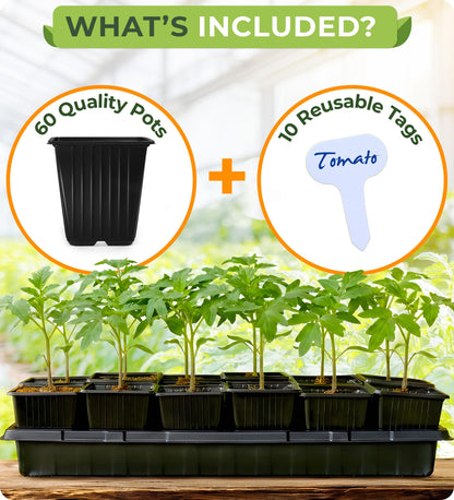 CARPATHEN 60Pack Square Nursery Pots - 3.5 Inch Seedling Plant Pot with Drainage Holes - 1020 Tray Optimized - Reusable Sturdy Seed Starter Pots for Flowers, Vegetables, Greens