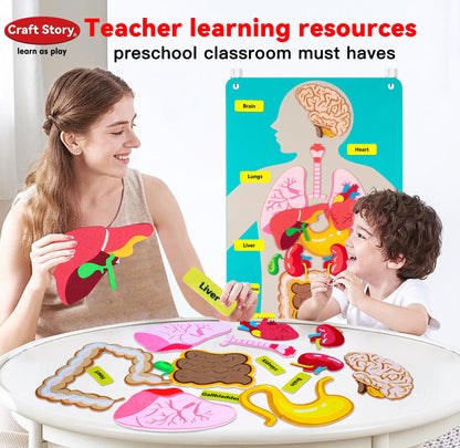 Craftstory Teaching Body Parts Felt Board Stories for Toddlers, Arts Crafts Toys for Kids Sensory Activities Teacher Daycare Supplies