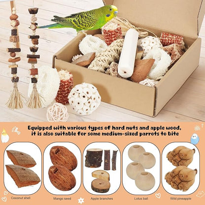 Bird Toys Parrot Natural Foraging Box Parakeet Toys DIY Hanging String for Cockatiels,Conures,Love Birds,and Other Small to Medium Birds Cage Accessories (Medium)