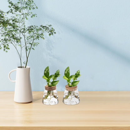 Operitacx 3pcs Hydroponic Glass Propagation Vases with Smooth, Hammered Vertical Texture Volcanic Neck and Wood Stopper, Indoor Plant Terrarium Set for Home and Office Décor