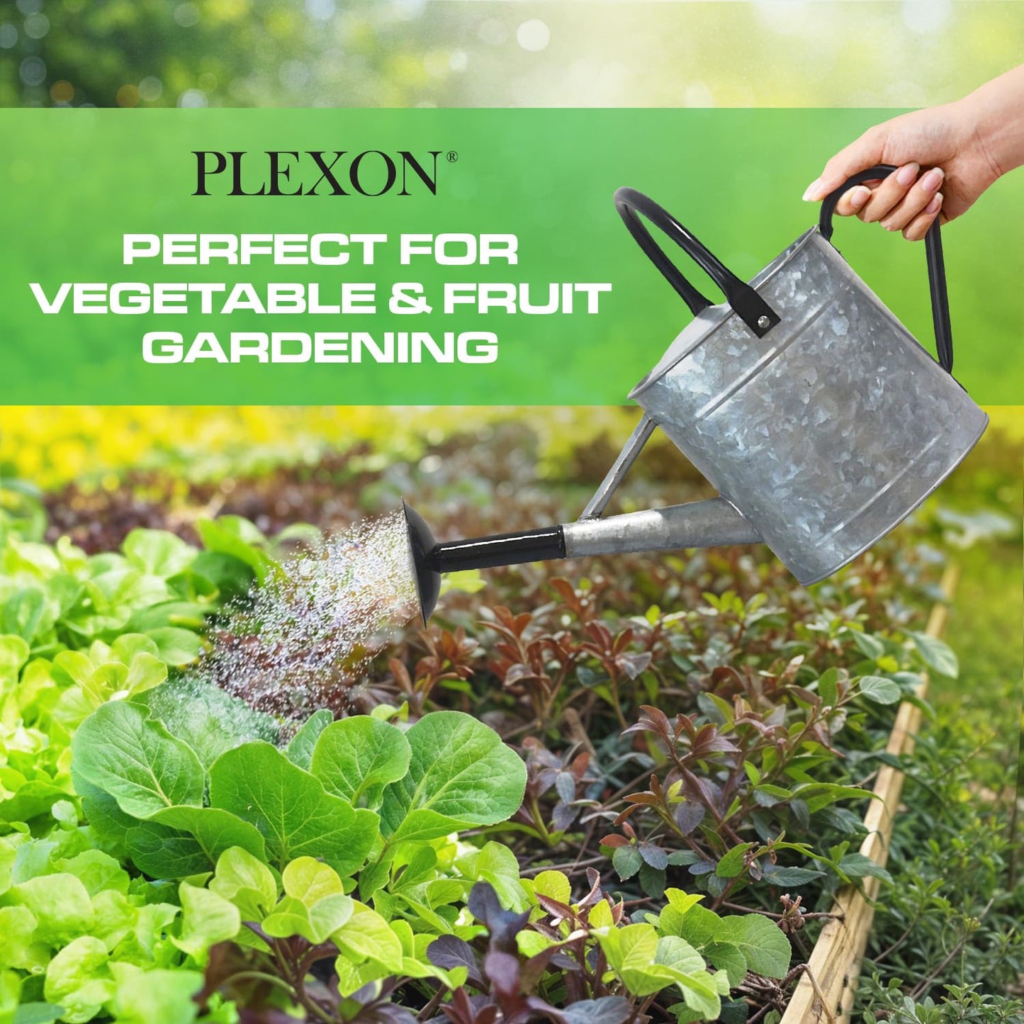 Plexon Metal Watering Can Outdoor 1 Gallon, Flower Plant Gardening Garden Large Galvanized Watering Can Pot Pitcher, Steel Black Handles and Removable Spray Spout