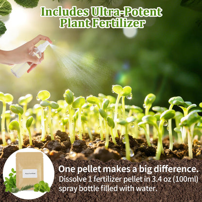 Herb Indoor Window Garden Kit - House Plants Seeds - Best Unique Christmas Gift Ideas for Women, Friend, Birthday, Housewarming, Mother, Beginner DIY Craft & Hobby Gardening Gift for Plant Lovers