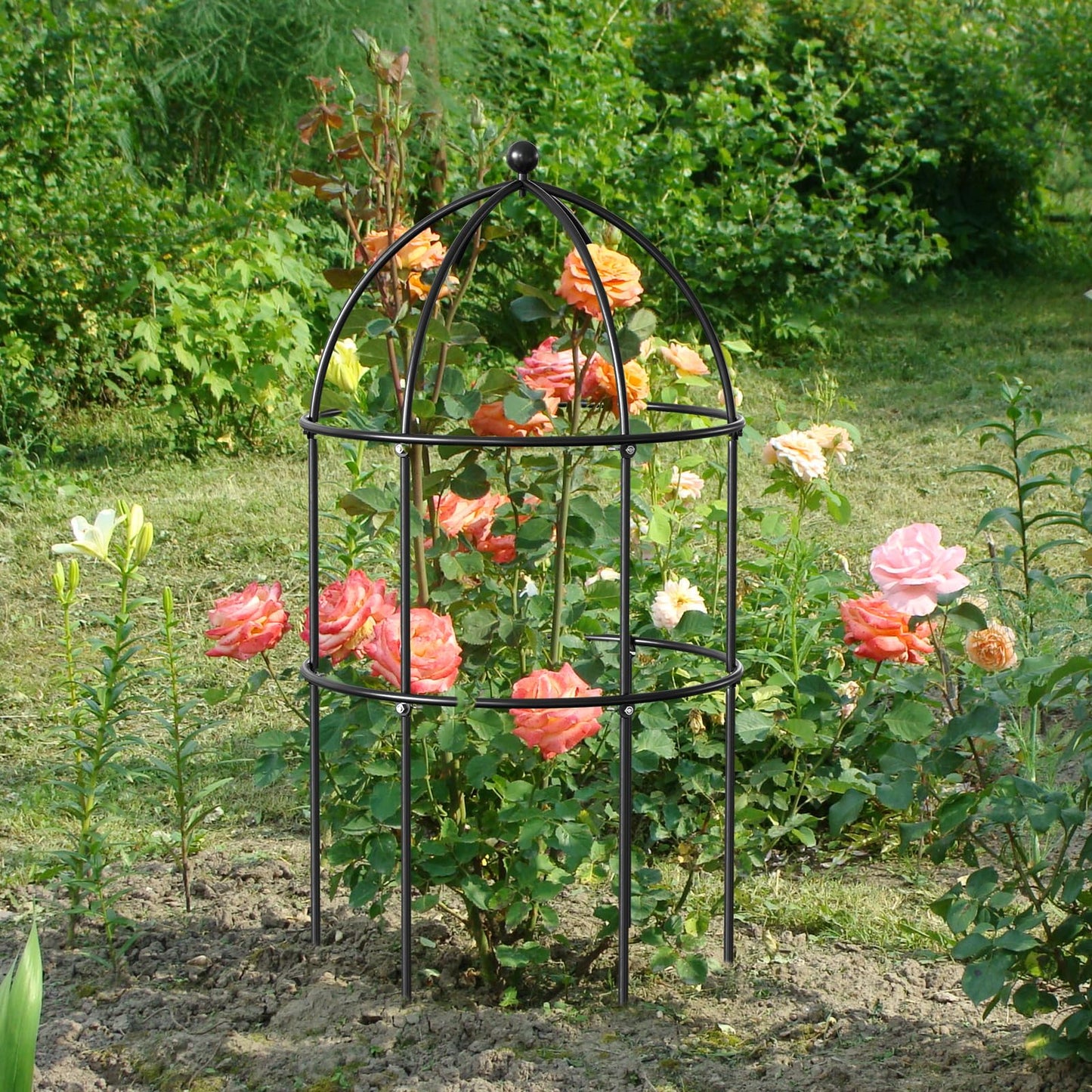 DoCred 3 Pack Plant Support, Plant Supports for Peonies Large Sturdy Grow-Through Steel Flower Support Trellis and Garden Decor | Best to Support Peonies, Baptisia, Sedum, Black