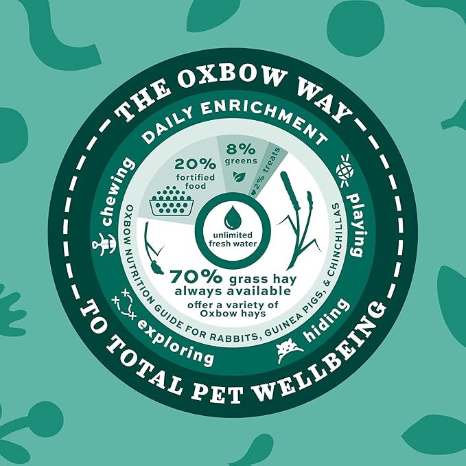 Oxbow Orchard Grass Hay, Rabbit & Guinea Pig Hay, High Fiber for Digestive Health, Grown in USA, Veterinarian Recommended Small Pet Supplies, Bulk Food for Rabbits, Guinea Pigs, & Chinchillas, 40 lbs