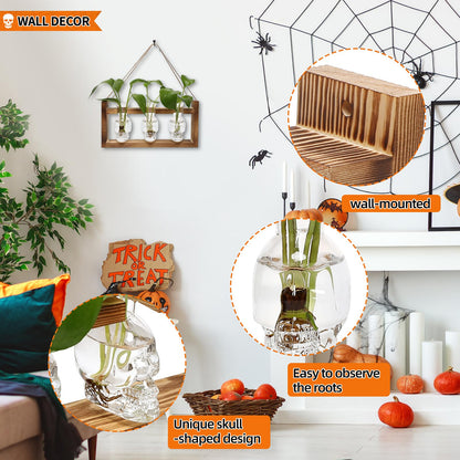 Plant Terrarium Propagation Stations Hydroponics Halloween Skull Planter Vase Skulls Decor with Wooden Stand Gife for Father