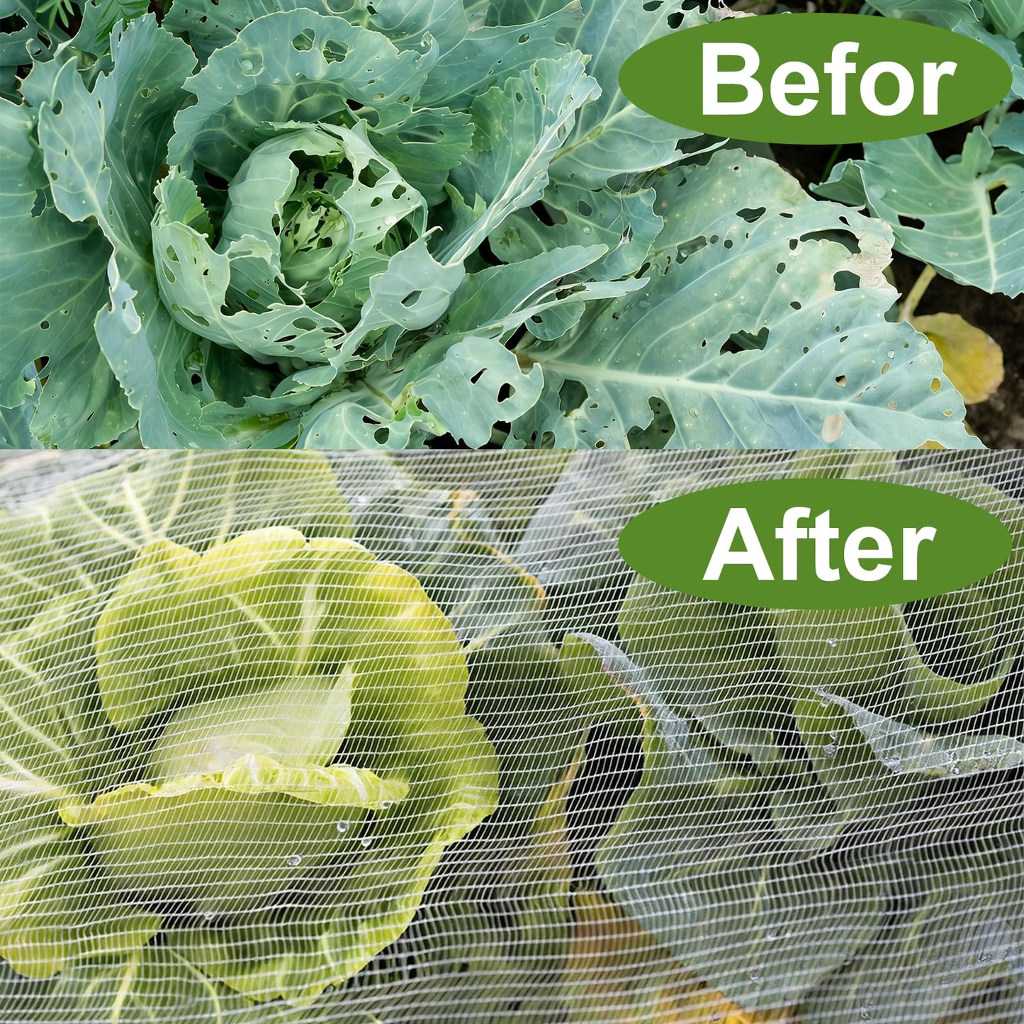 2 Pack Garden Netting for 6×3 FT Raised Beds, Large Fine Mesh Insect Netting with Drawstring, Garden Bed Cover for Vegetables, Fruit & Flower Protection